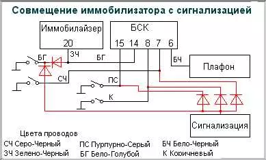 Неправильная