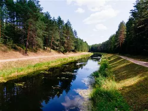 Климатические