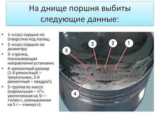 Как легко и быстро сделать пластическую пантеру - подробное руководство с пошаговыми инструкциями и полезными советами