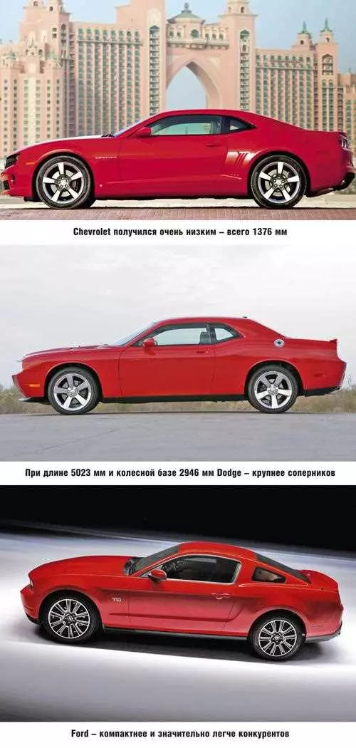 Что лучше - Dodge Challenger или Ford Mustang? Открываем секреты невероятных возможностей двух легендарных автомобилей!