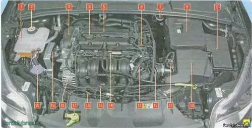 Подкапотное пространство автомобиля Ford Focus 3 - особенности, компоненты и технические решения